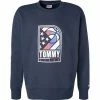 TOMMY JEANS Pullover DM0DM10661/C87 Sweatshirt, Baumwolle, Navy