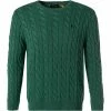 Polo Ralph Lauren Pullover 710775885/029 Baumwolle, Dunkelgrün 1 Polo Ralph Lauren Pullover 710775885/029 Baumwolle, Dunkelgrün -striangebote 380090 master