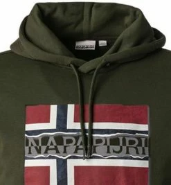 NAPAPIJRI Hoodie NP0A4FQY/GE4 Baumwolle, Jägergrün -striangebote 380588 norm2